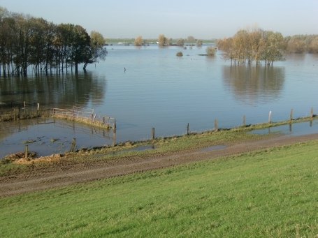 Duisburg-Walsum : Blick über den Rheindeich, der Rhein führte zu diesem Zeitpunkt Hochwasser ( Nov. 2013 ).